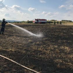 Vrbice: Požár trávy se šířil k lesu