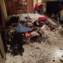 Vřesová: Na požár stromku upozornil papoušek