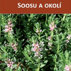 Vyšla kniha o květeně Soosu
