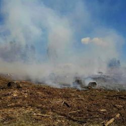 Vzhledem k teplému počasí hrozí nebezpečí vzniku požárů