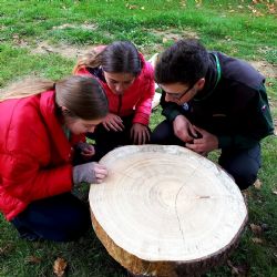 Žáci SLŠ Žlutice bodovali v evropské soutěži YPEF 2019