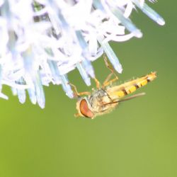 Začíná soutěž pro zaměstnavatele Stejná šance