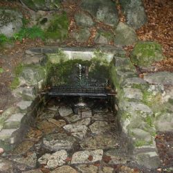 Zástupci kraje jednali s odborníky na lázeňství a balneologii