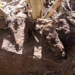 Žlutice: Část nalezené munice pyrotechnik zlikvidoval na místě 