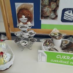 Jaký byl veletrh středních škol v Sokolově? Podívejte se ;-)