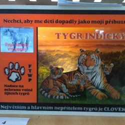 Naši aranžéři zářili na soutěži v Českých Budějovicích