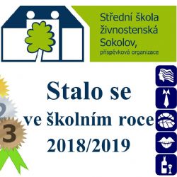 Stalo se v tomto školním roce