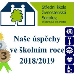 Úspěchy našich žáků ve školním roce 2018-2019