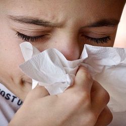 Nemocnost obyvatel kraje překročila hranice epidemie