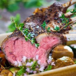 Užijte si gastronomický zážitek v restauraci Charleston v srdci Karlových Varů