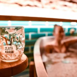 Zůstáváte letos na dovolenou v ČR? Navštivte Pivní hotel a lázně v Nepomuku!